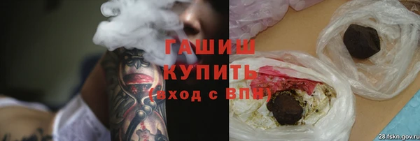 стаф Аркадак