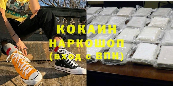 стаф Аркадак