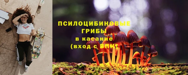 эйфоретик Балахна