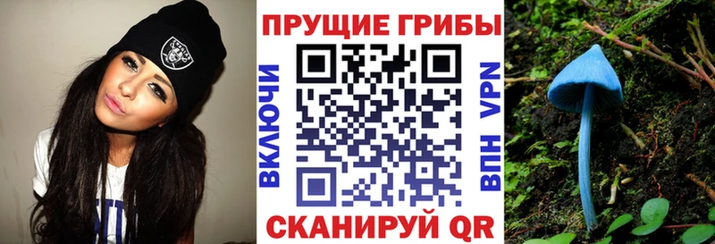 Псилоцибиновые грибы Magic Shrooms  Томилино 